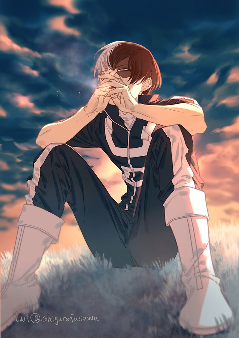 Todoroki Shouto, My Hero Academia, 800x1131 Full HD Verticale, iPhone Air