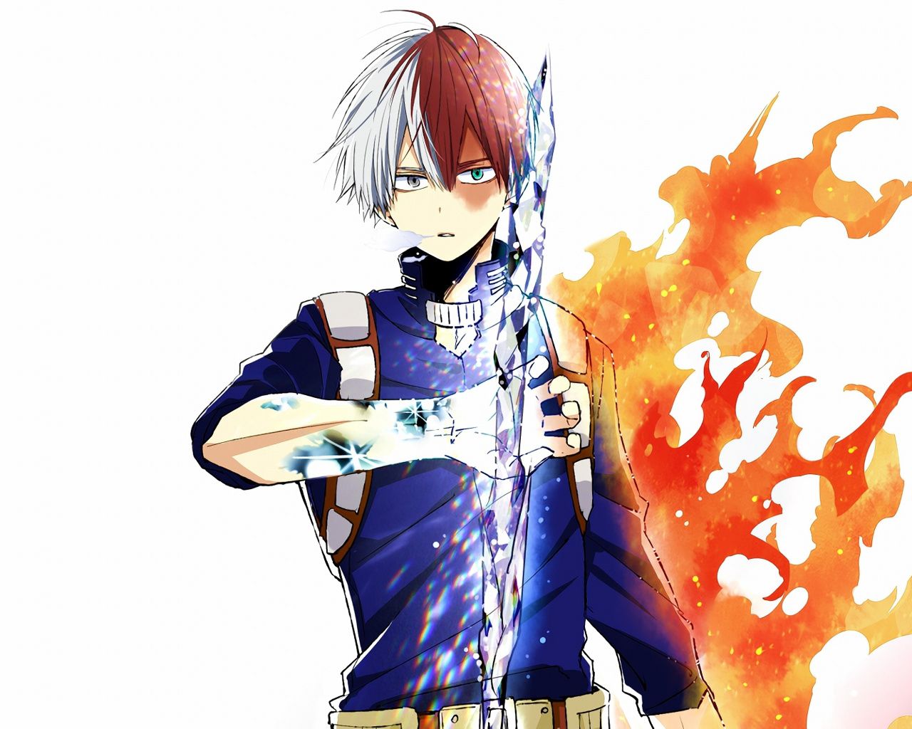 Shouto Todoroki, My Hero Academia, eroi, 1920x1284 Full HD+, PC