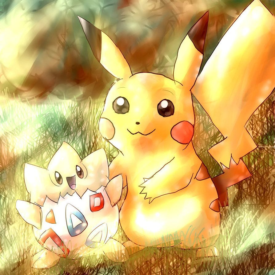 Togepi e Pikachu Pokemon, creature tascabili, 894x894 HD, PC