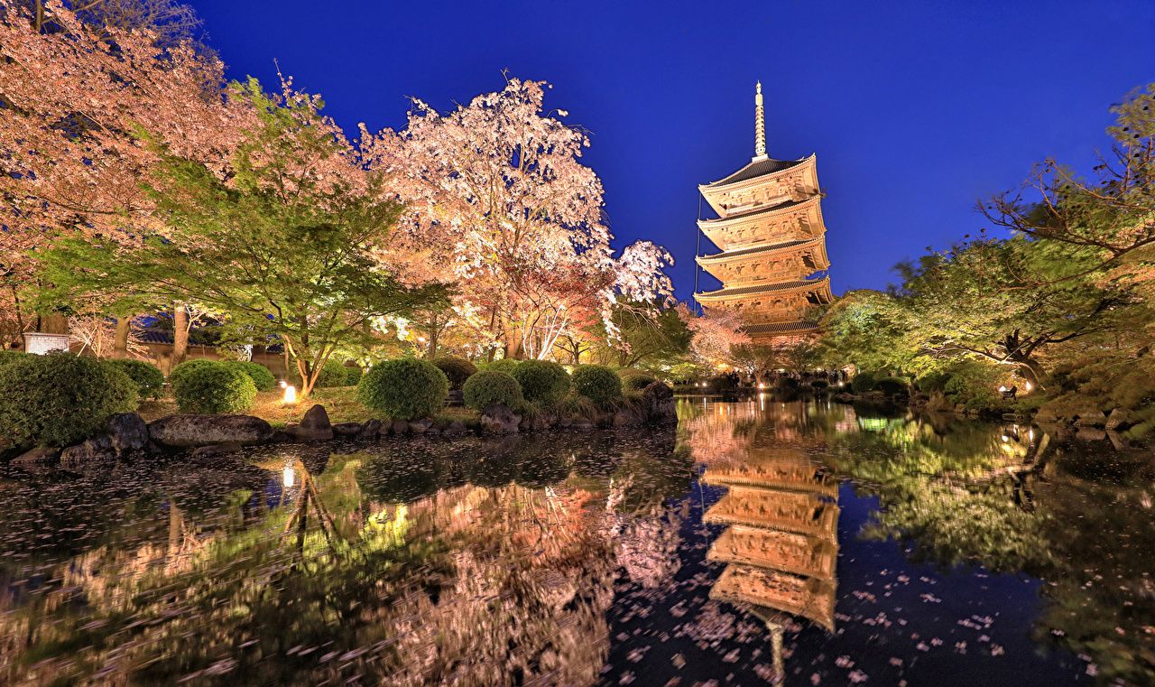 Pagoda giapponese sera ciliegi, 1280x761 720p, Lenovo Legion