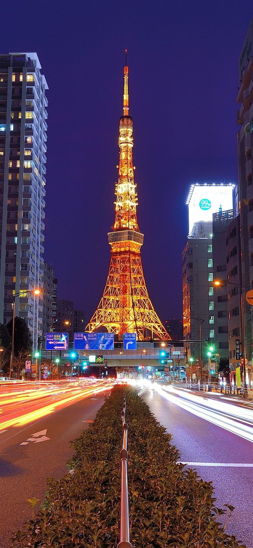 Torre di Tokyo notte, 828x1792 Verticale, iPhone
