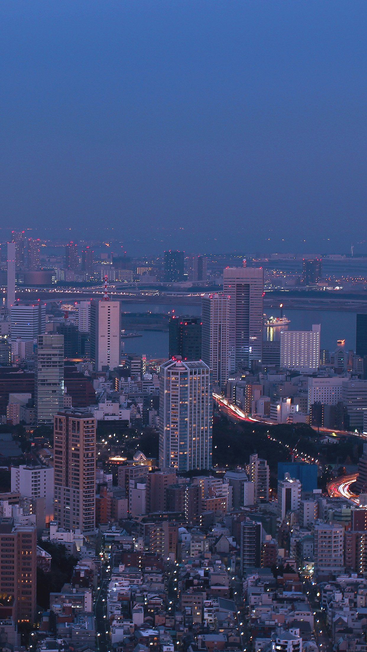 Skyline Tokyo notturno, 1242x2208 Full HD Verticale, Smartphone