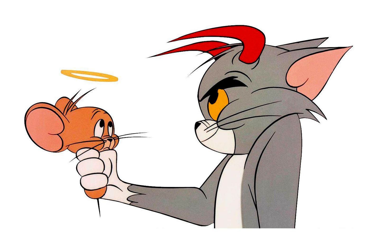 Tom e Jerry cartone animato, 1600x1000 HD, Desktop
