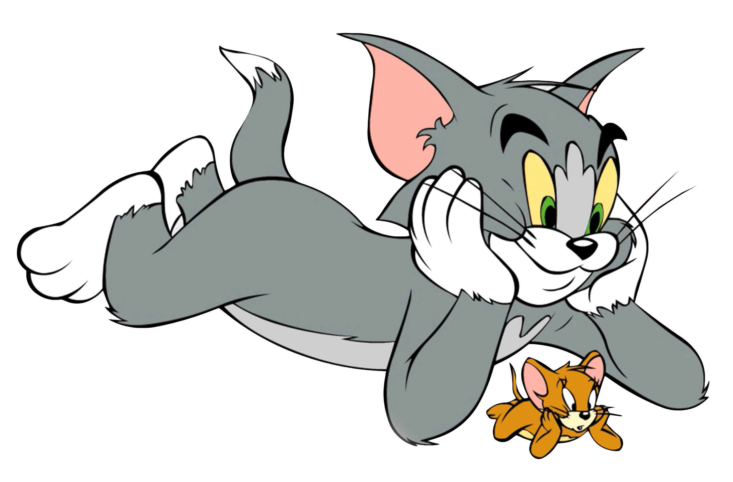 Tom e Jerry cartone, 2565x1686 WQXGA, Desktop
