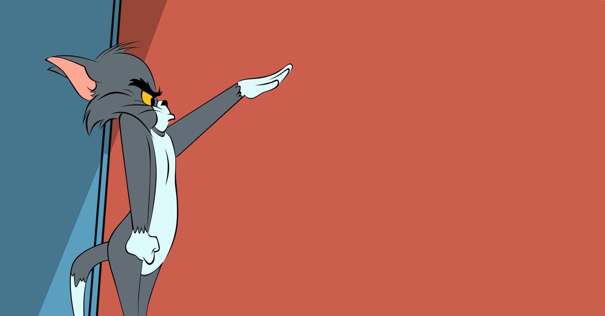Tom gatto cartone animato, 2016x1055 Hi-Res, Desktop