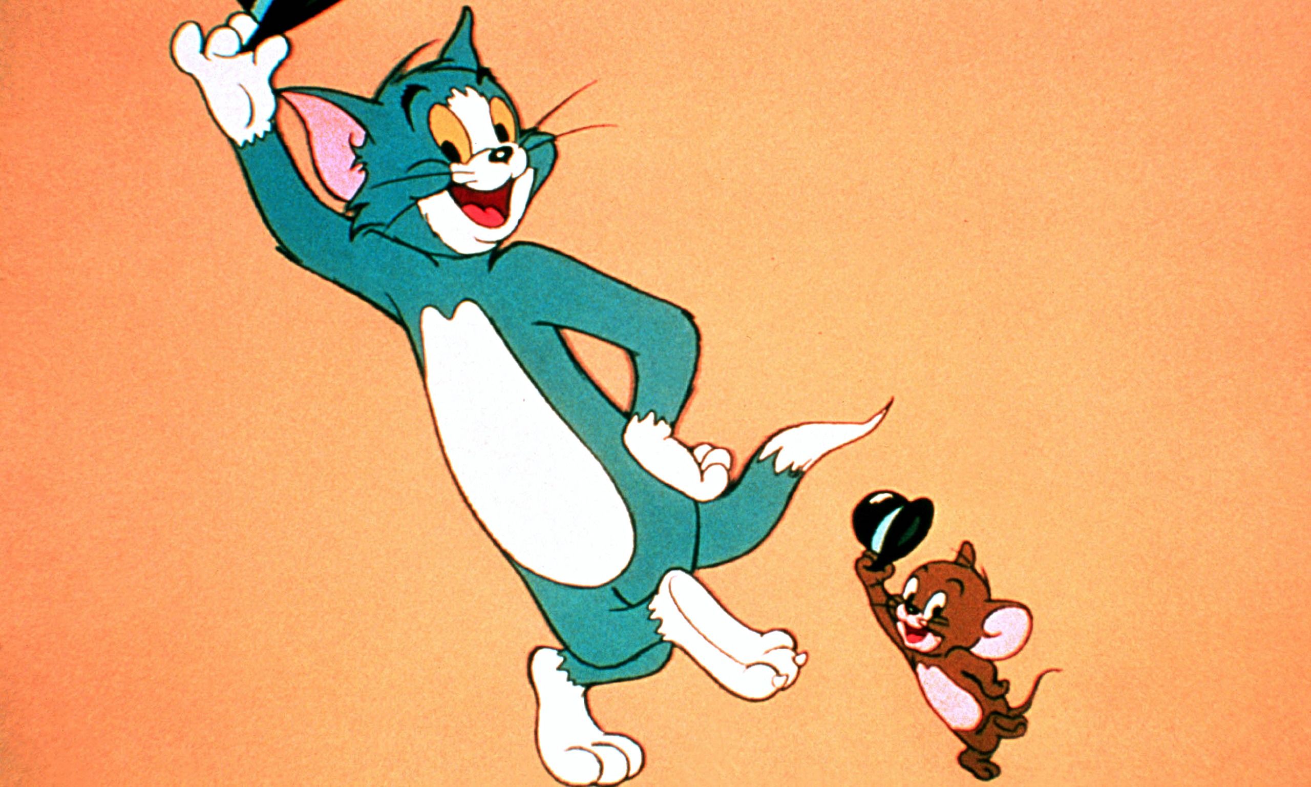 Tom e Jerry cartone animato, 2560x1536 2K, Desktop