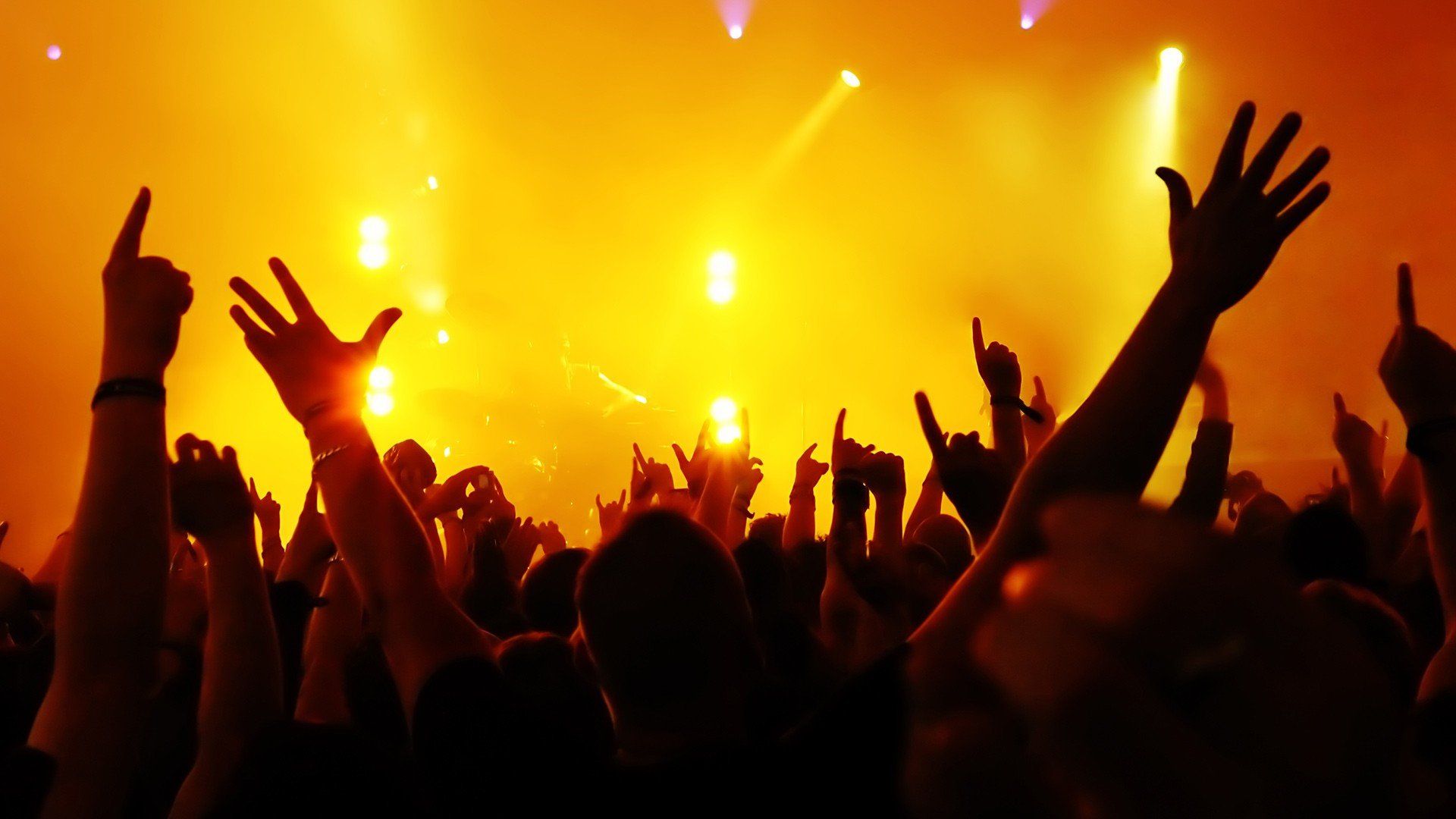 folla concerto festival musica, 1920x1080 1080p, Laptop