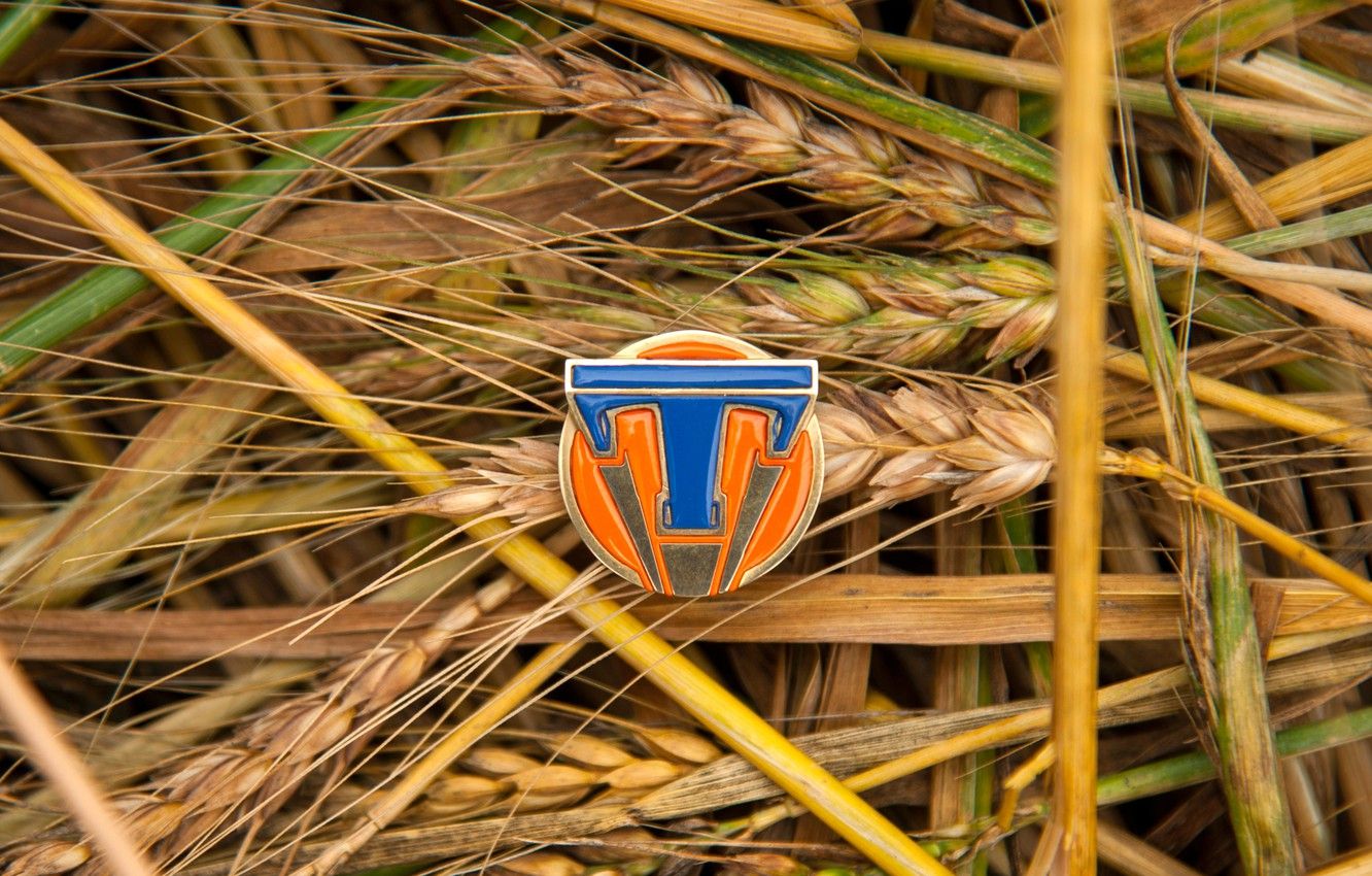 Spilla logo Tomorrowland su grano, 1332x850 720p, PC