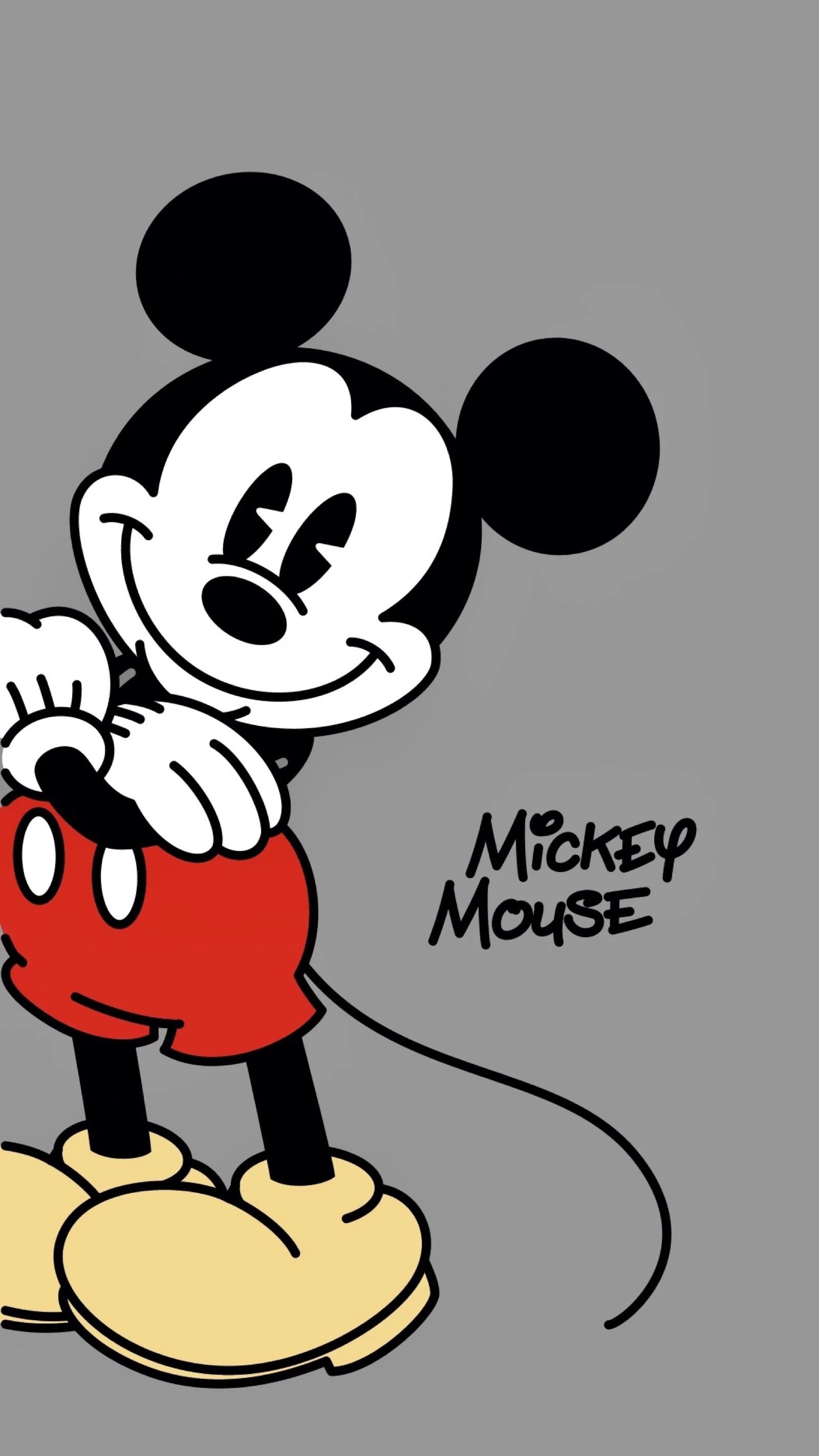 Topolino Disney sfondo grigio, 1600x2844 Verticale, Telefono