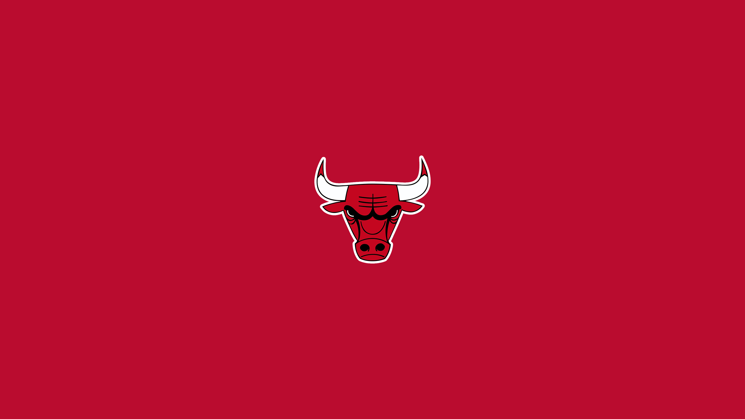 Logo Chicago Bulls sfondo rosso, 2560x1440 2K, Desktop