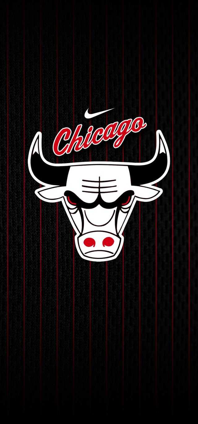 Chicago Bulls logo Nike, abbigliamento sportivo, 640x1372 Verticale, Telefono