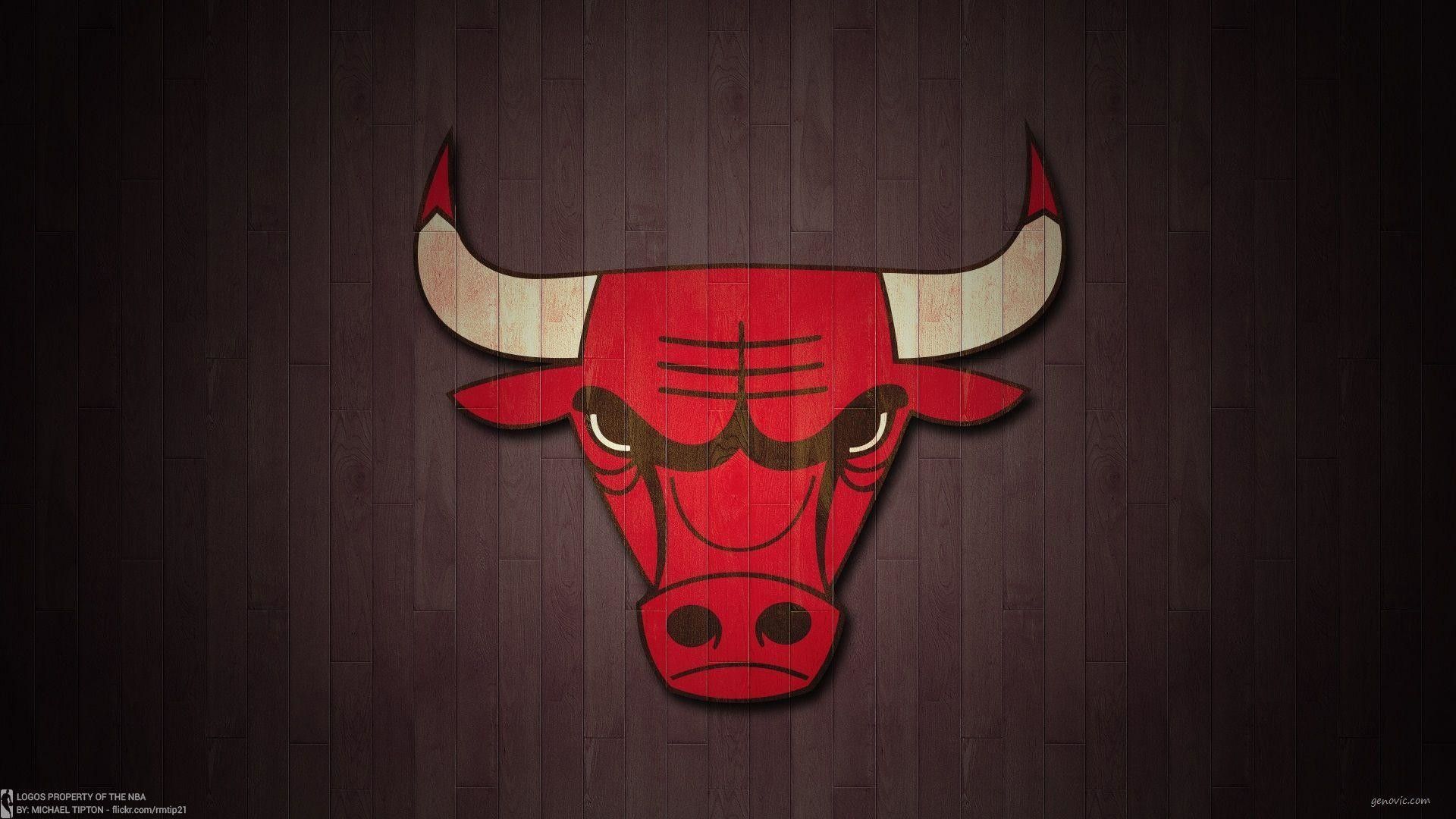 Logo Chicago Bulls su legno, 1920x1080 Full HD 1080p, PC