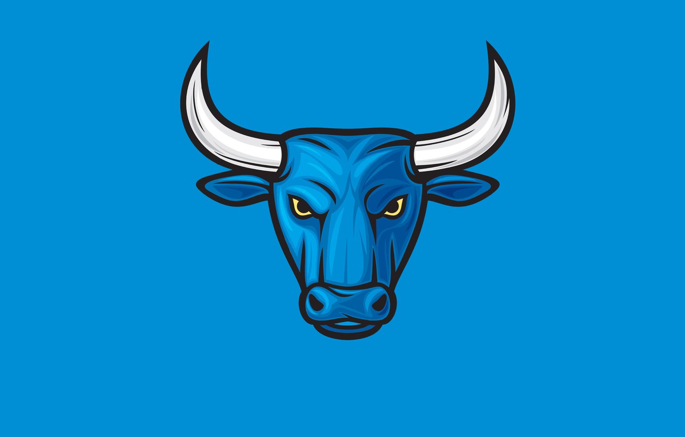 toro blu minimalista, 1332x850 HD, Desktop