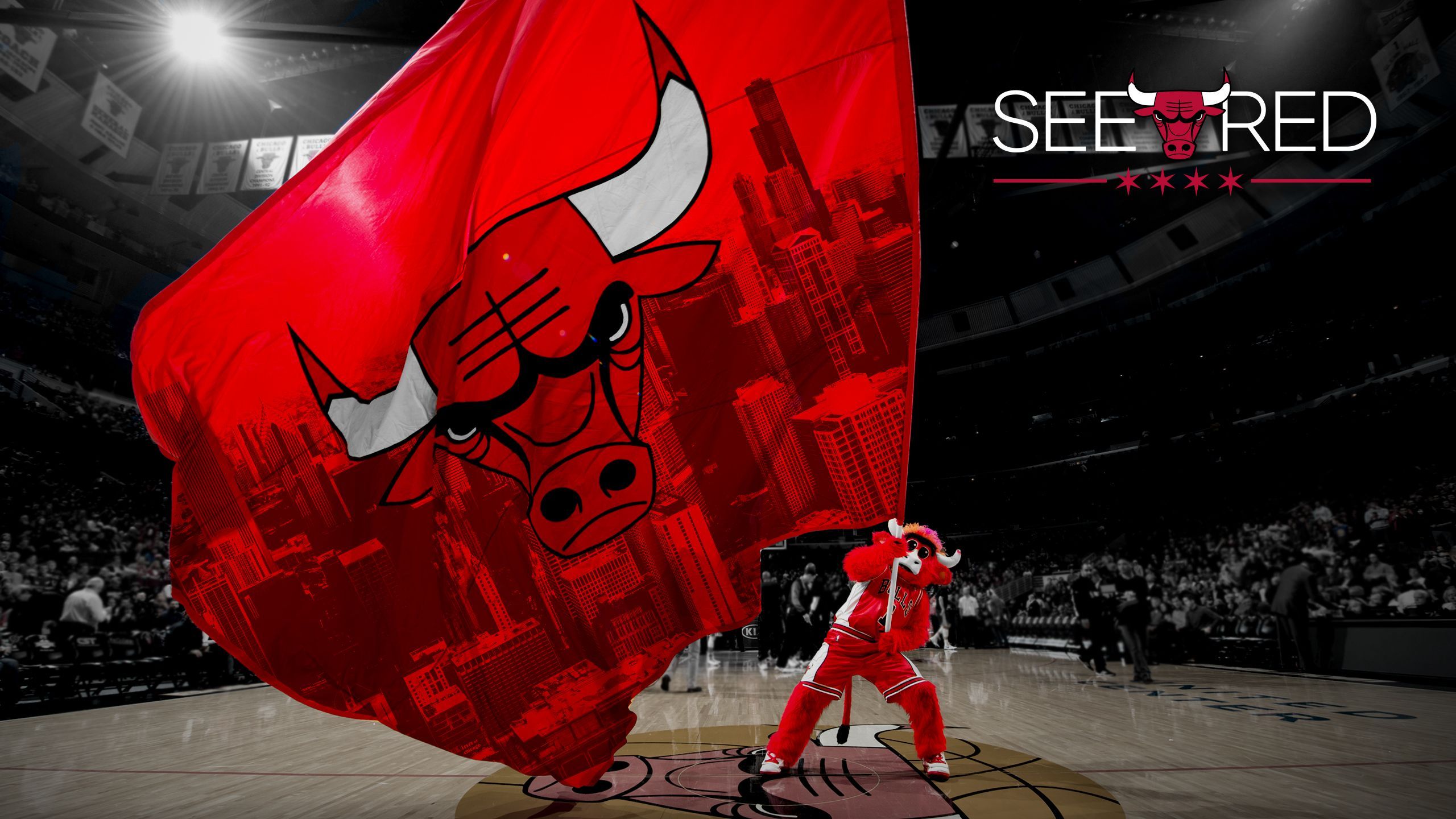 Mascotte Chicago Bulls con bandiera rossa, 2560x1440 QHD, Laptop