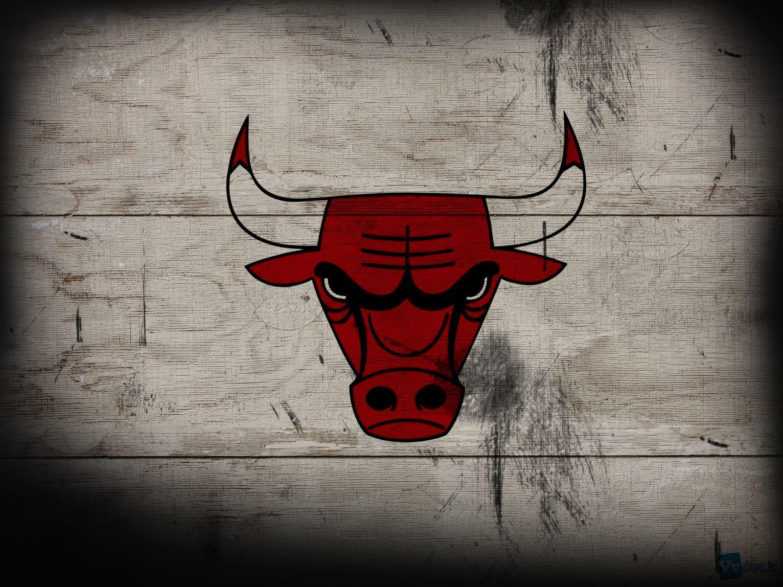 Logo Chicago Bulls testa toro, 1600x1200 HD, Desktop