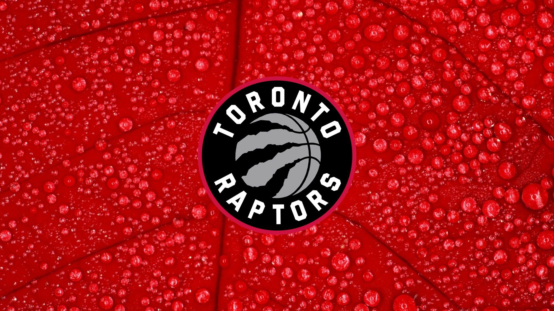 Logo Toronto Raptors su rosso, 1920x1080 Full HD, Desktop