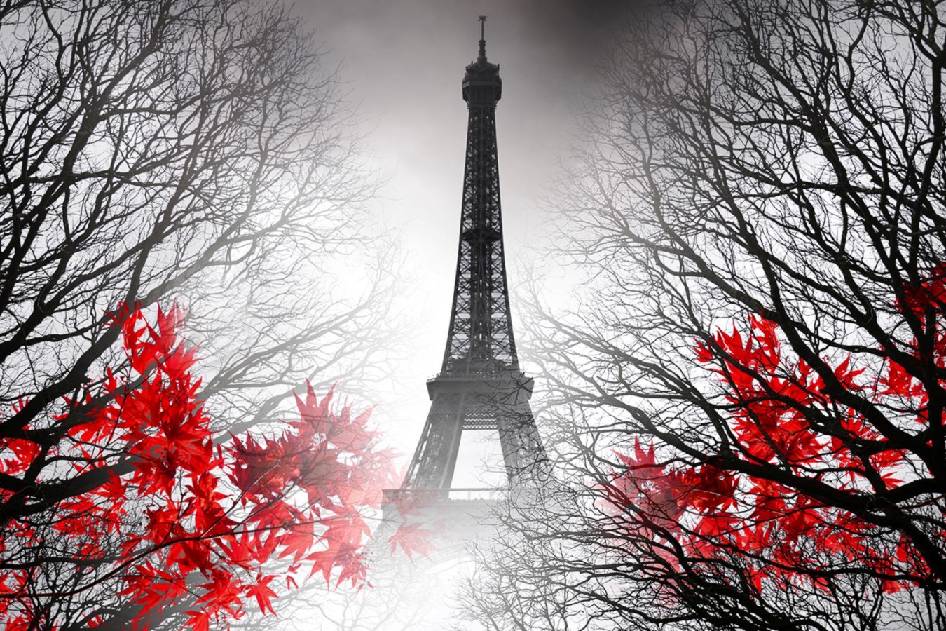 Torre Eiffel foglie rosse, 1350x900 720p, Acer Nitro