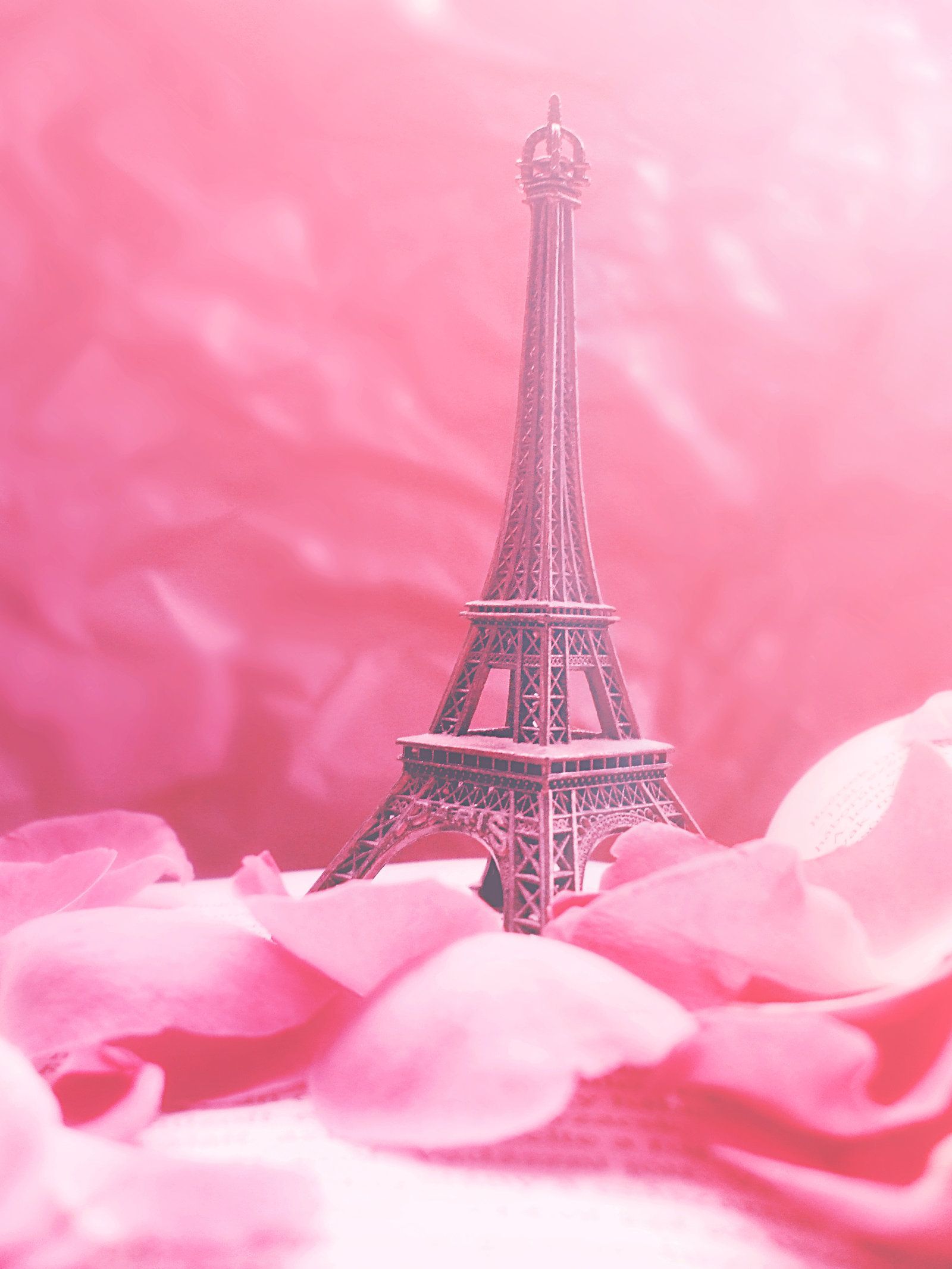 Torre Eiffel rosa con petali, Parigi, 1600x2133 Verticale, Telefono