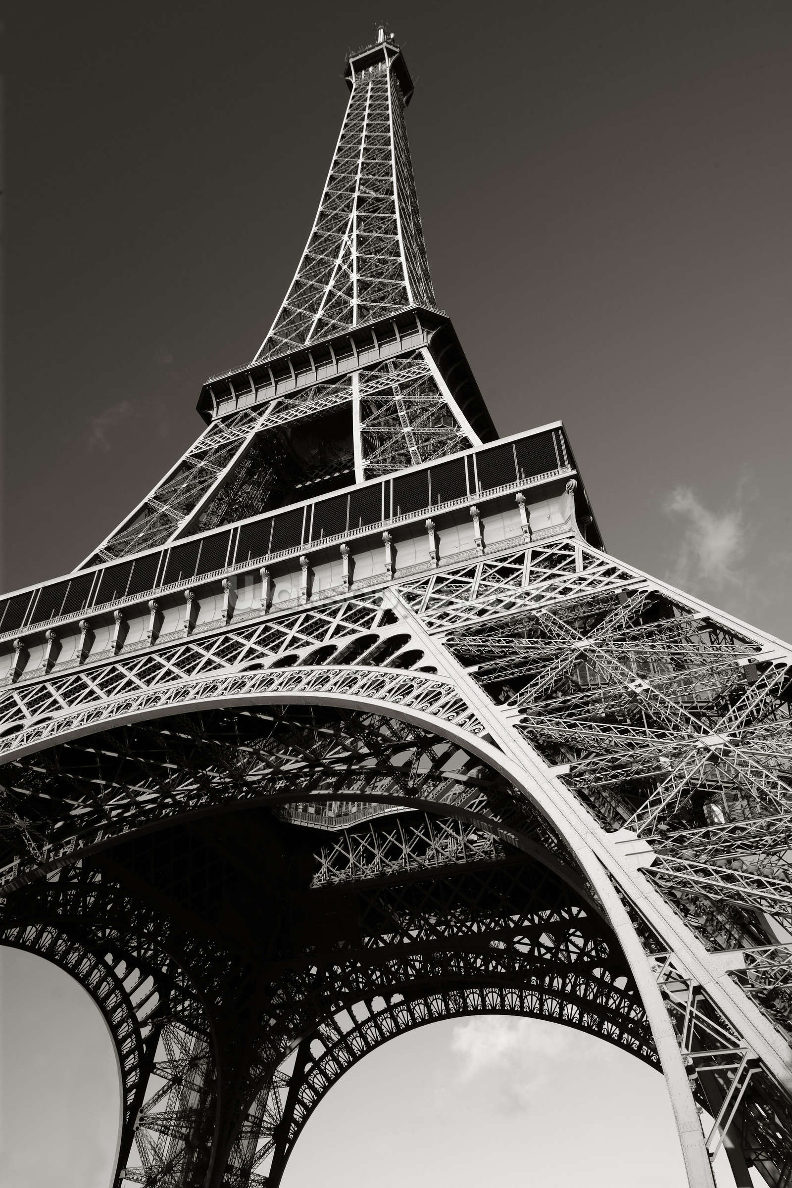 Torre Eiffel bianco e nero, 1600x2401 Verticale, OnePlus