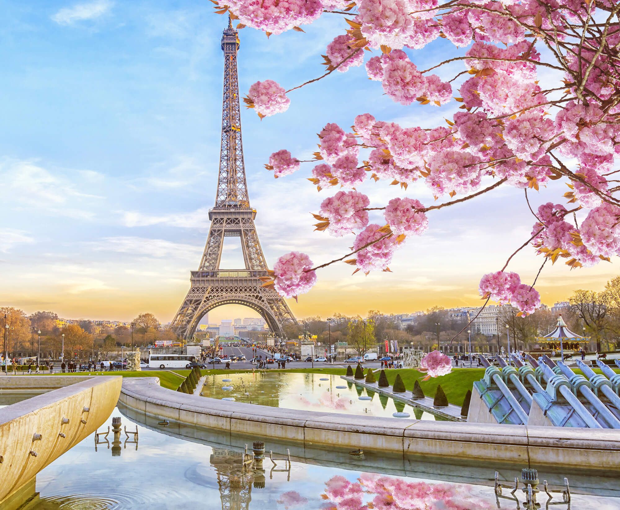 Torre Eiffel con fiori di ciliegio, monumento, 2000x1647 alta risoluzione, Laptop