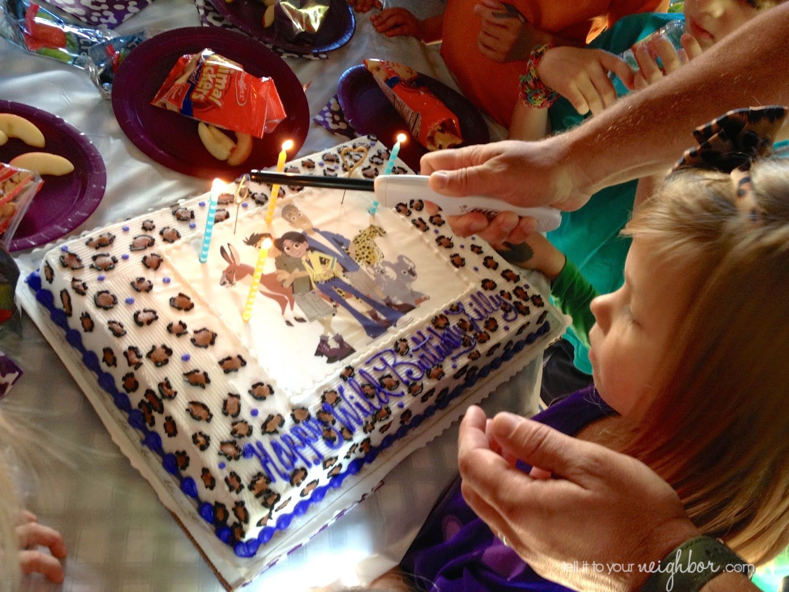 Torta compleanno Wild Kratts, 1024x768 HD, Desktop