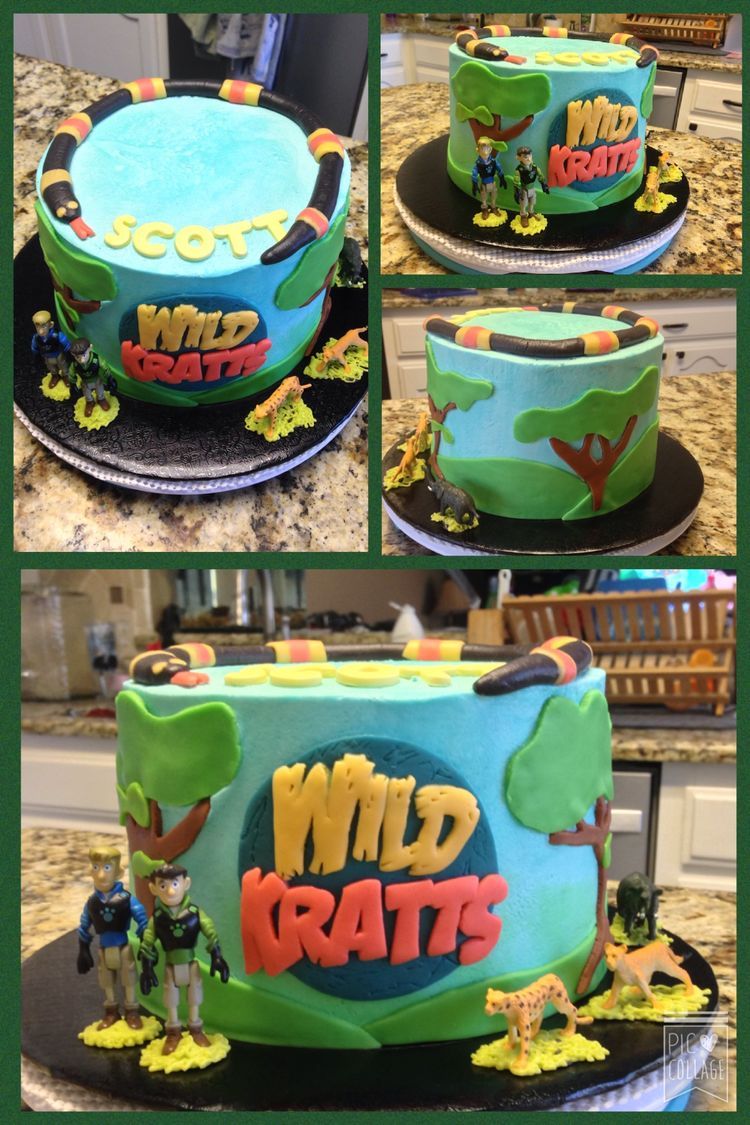 Torta compleanno Wild Kratts, 1024x768 HD, PC