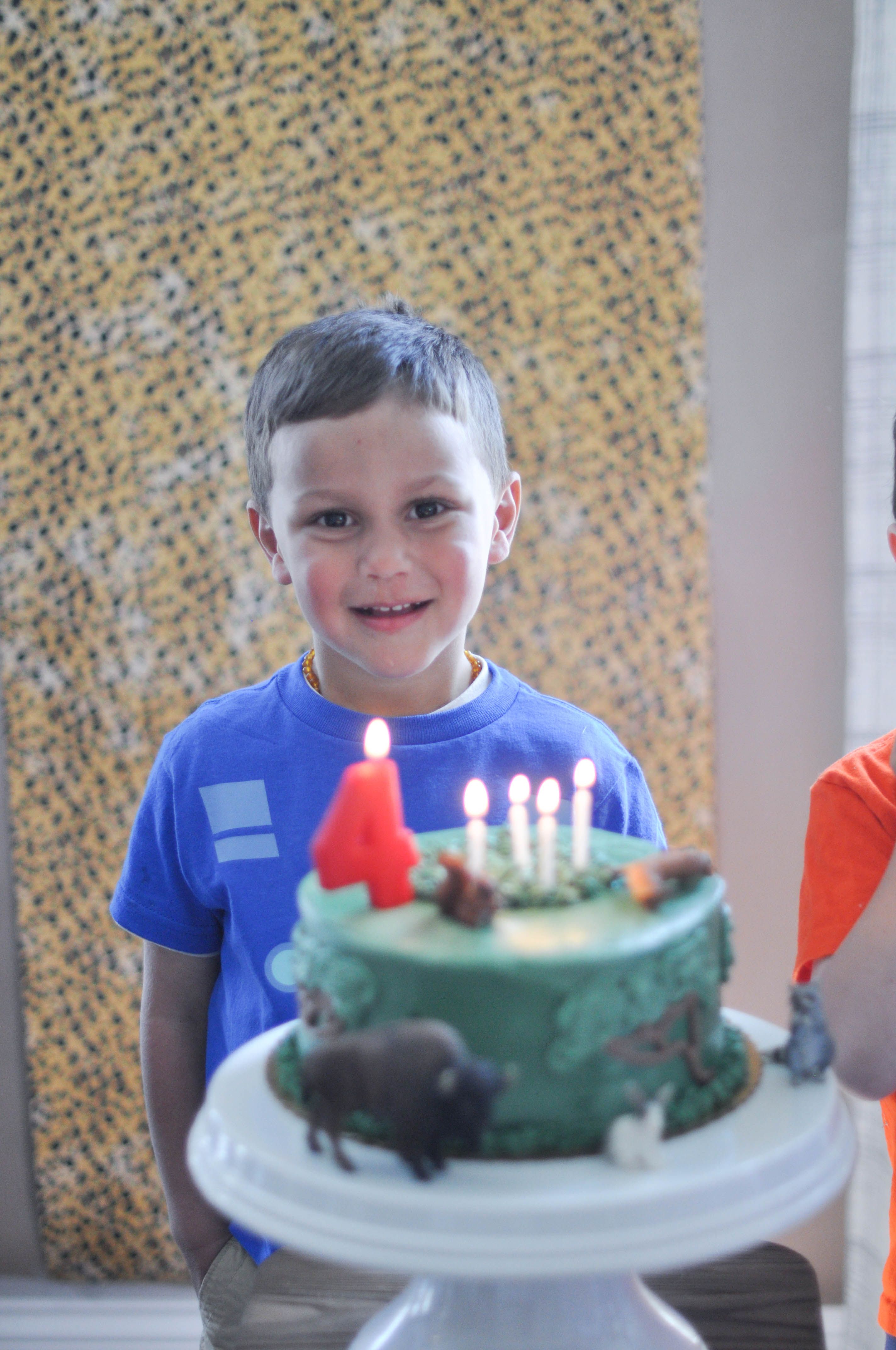 Torta compleanno Wild Kratts con cupcakes, 1600x1063 HD Ready, Laptop