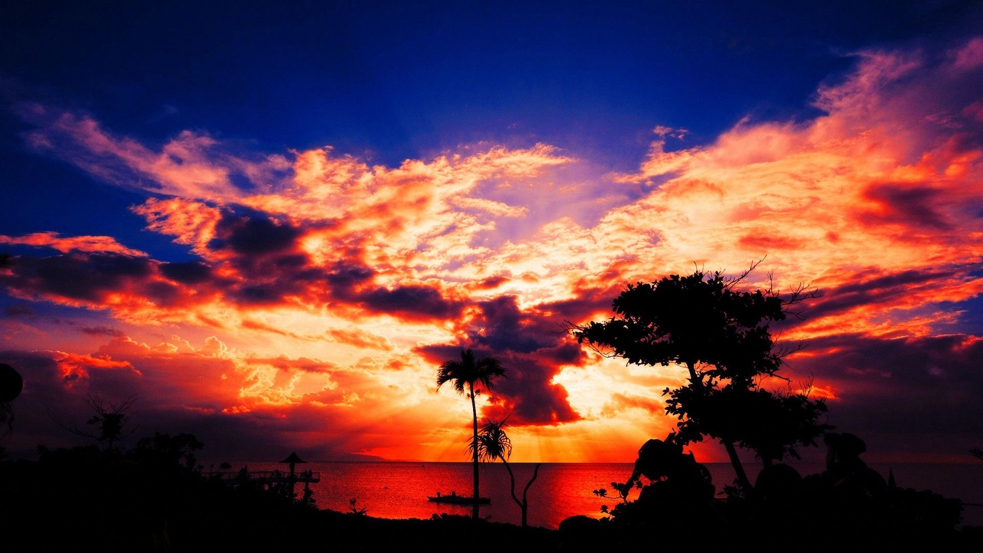 Tramonto arancione con silhouette alberi, 1920x1080 Full HD 1080p, PC