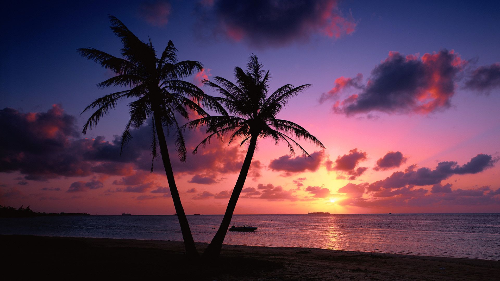 Palme silhouette tramonto spiaggia, 1920x1080 Full HD 1080p, Desktop