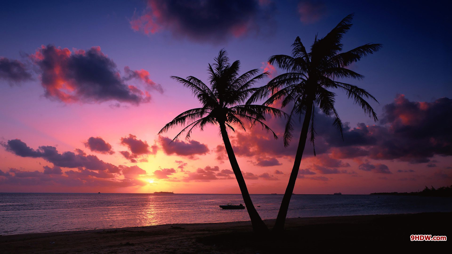 Palme silhouette tramonto spiaggia, 1920x1080 Full HD, PC Desktop