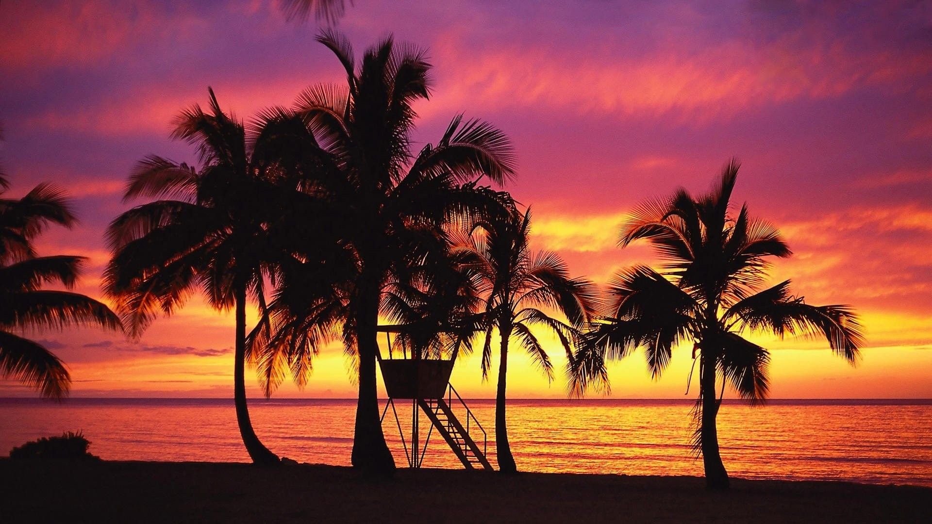 Palme silhouette tramonto Hawaii, 1920x1080 1080p, PC
