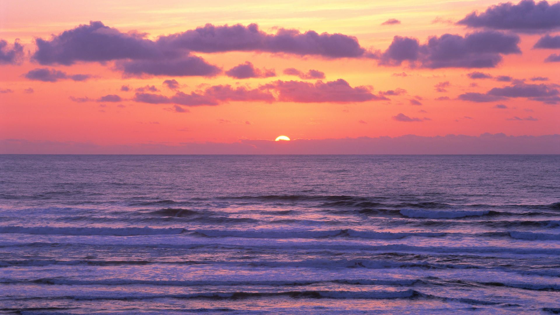 Tramonto oceano rosa, 1920x1080 1080p, Monitor Gaming