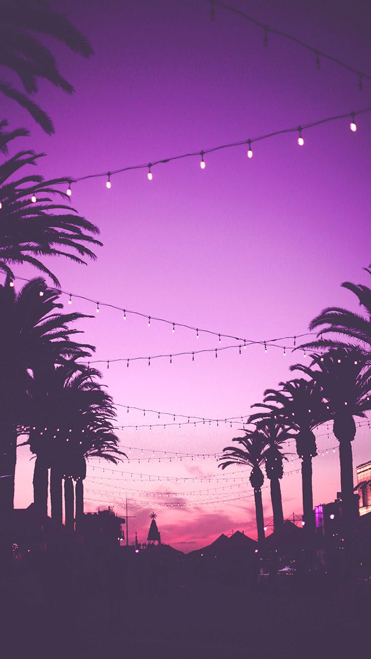 Palme e luci al tramonto, 736x1308 Verticale, Mobile