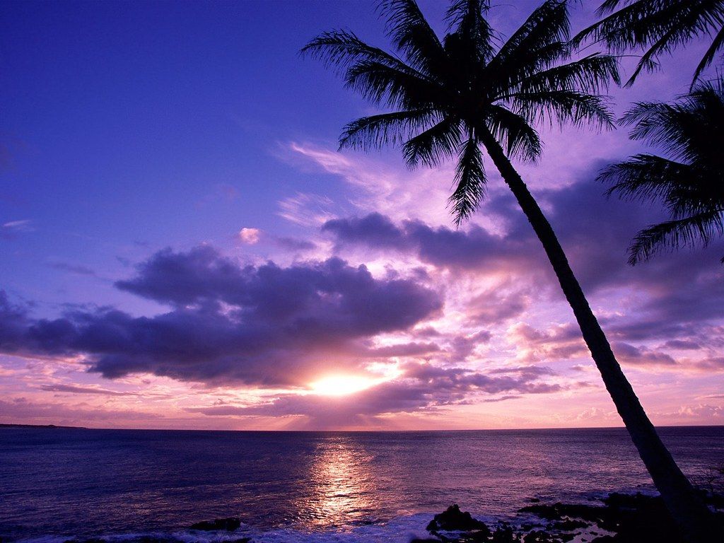 Spiaggia tropicale tramonto viola, 1024x768 HD, Desktop
