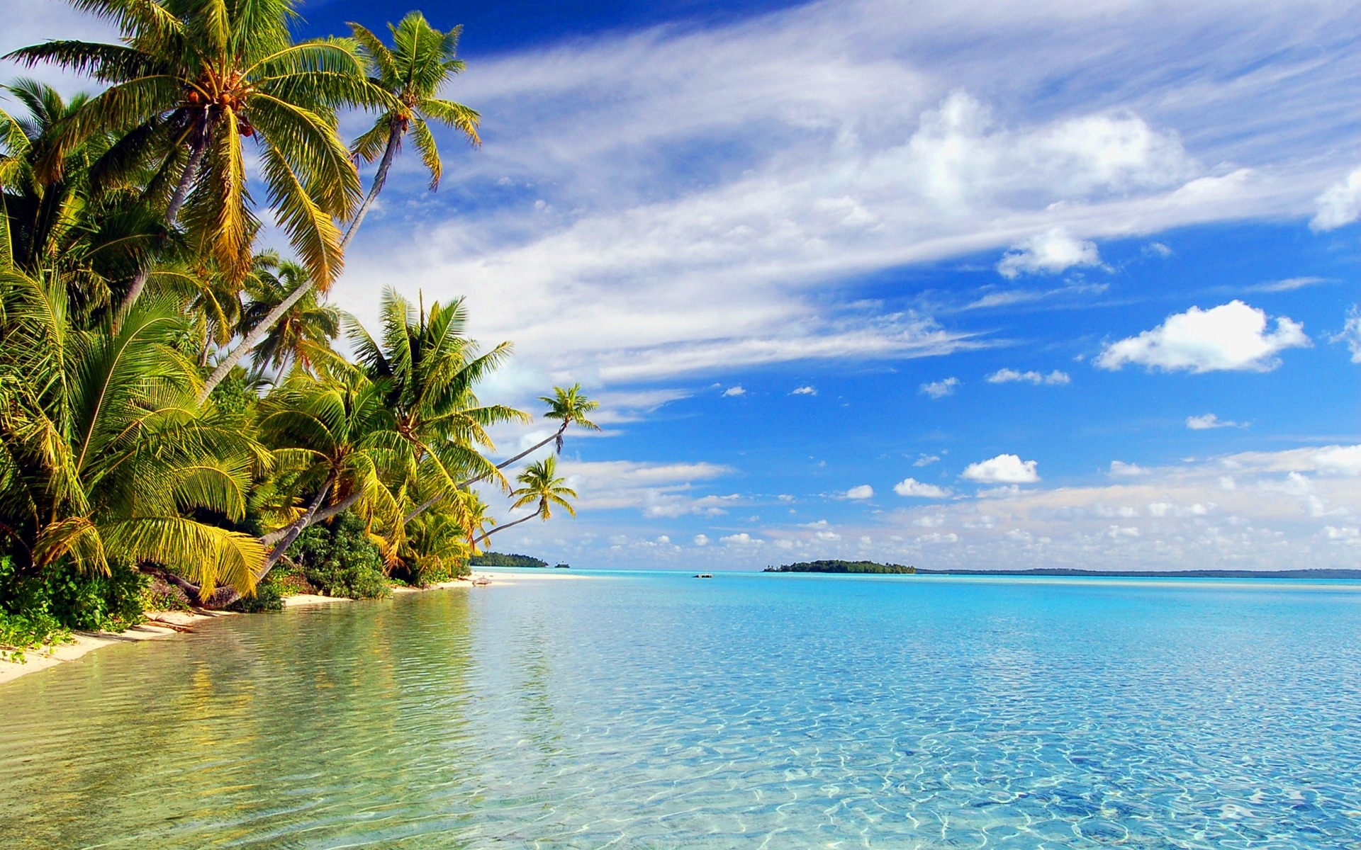 Spiaggia tropicale con palme, 1920x1200 Full HD+ WUXGA, Desktop