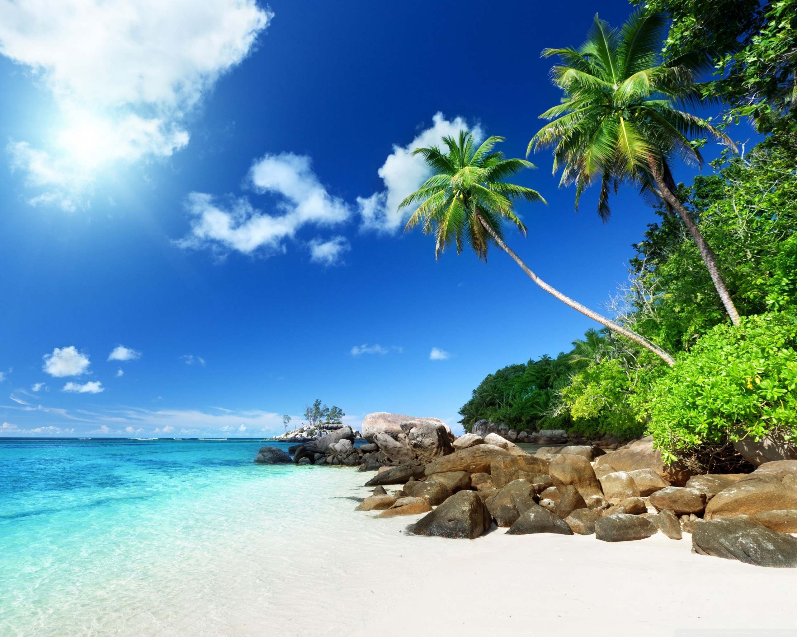 Spiaggia tropicale con palme, 2560x2048 WQXGA, PC