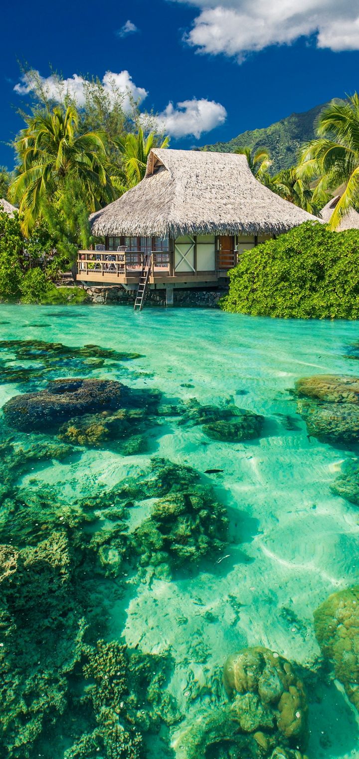 Bungalow tropicale su acqua turchese, 720x1520 Verticale, Mobile