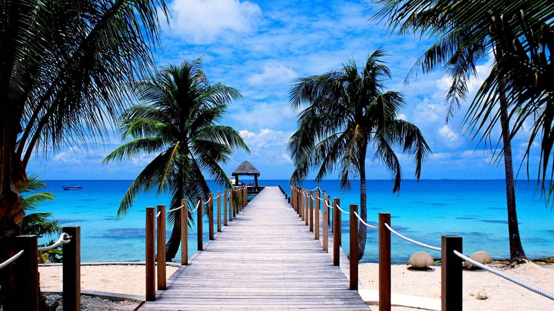 molo spiaggia tropicale palme, 1920x1080 Full HD 1080p, PC
