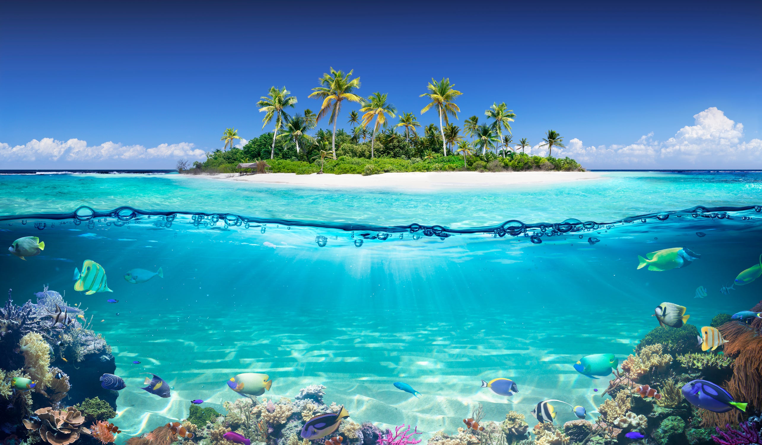 Isola tropicale con barriera corallina, 2569x1500 1440p, Desktop