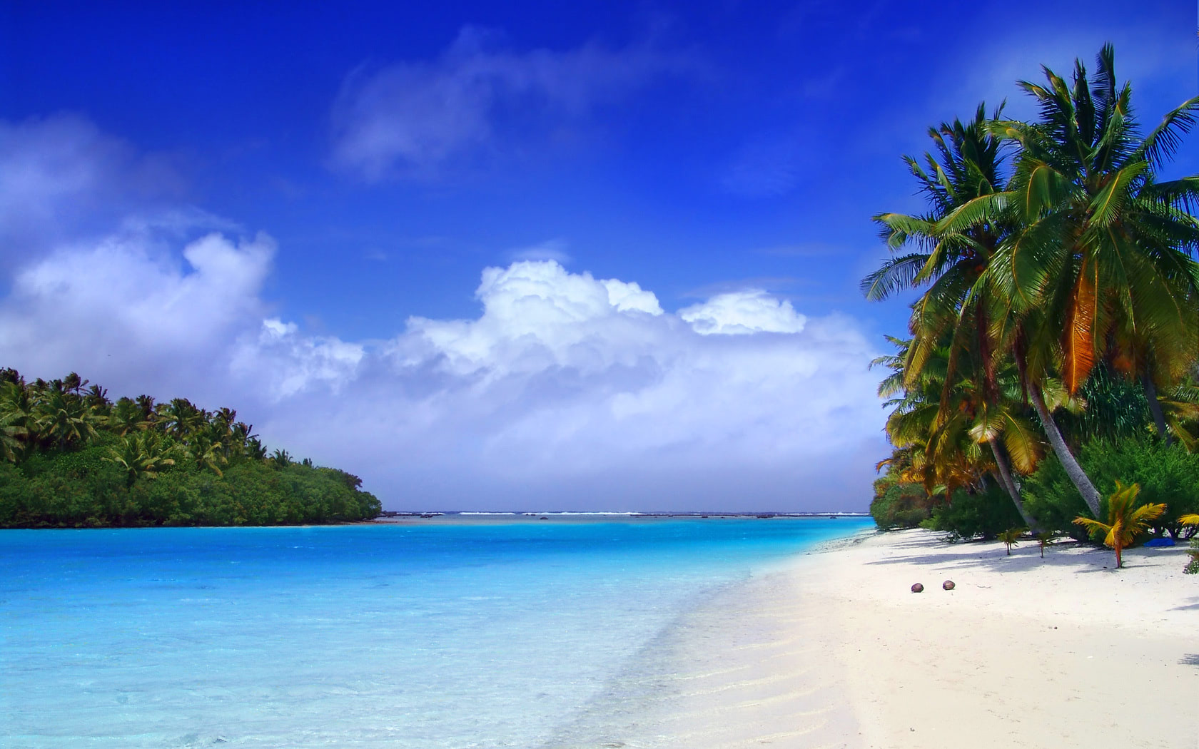 Spiaggia tropicale palme mare, 1680x1050 HD, Desktop