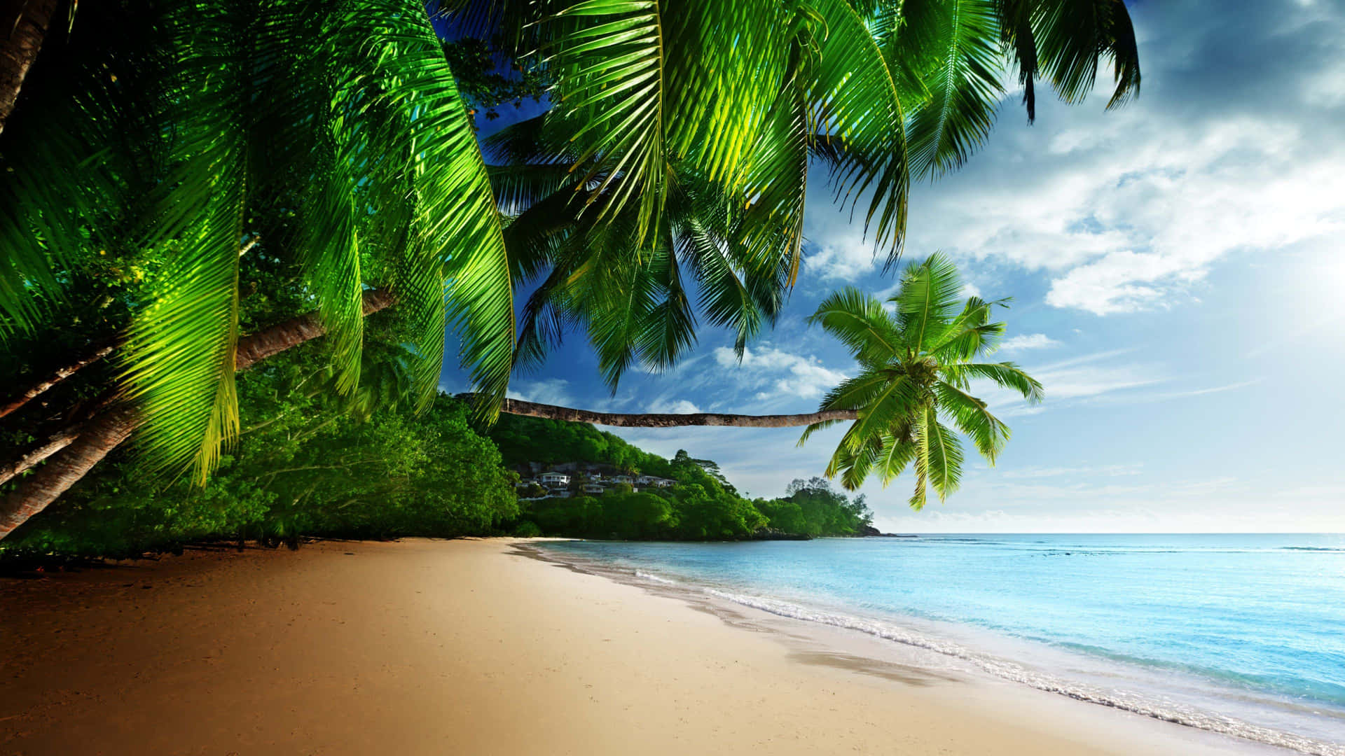 Spiaggia tropicale con palme, 1920x1080 Full HD, PC