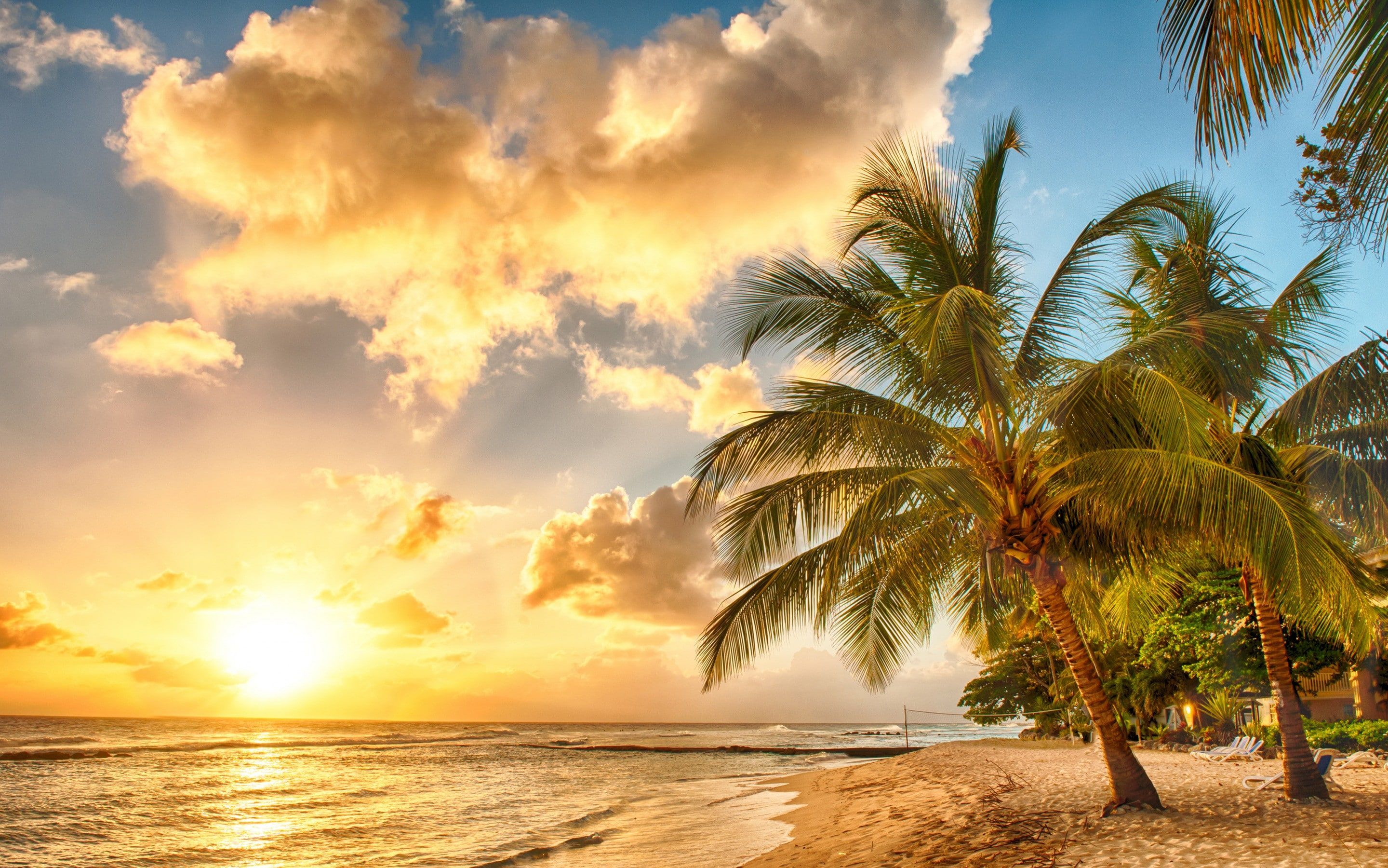 Spiaggia tropicale con palme al tramonto, 2880x1800 2K, Laptop
