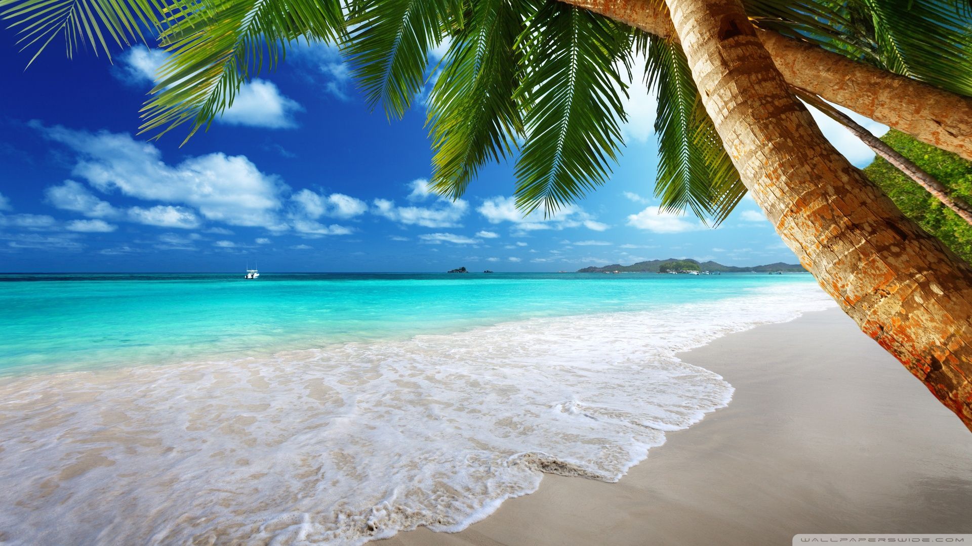Spiaggia tropicale con palme, 1920x1080 Full HD, PC