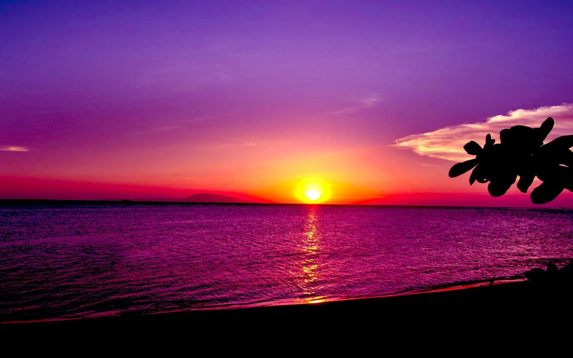 Tramonto viola su mare, 1920x1200 WUXGA, Laptop