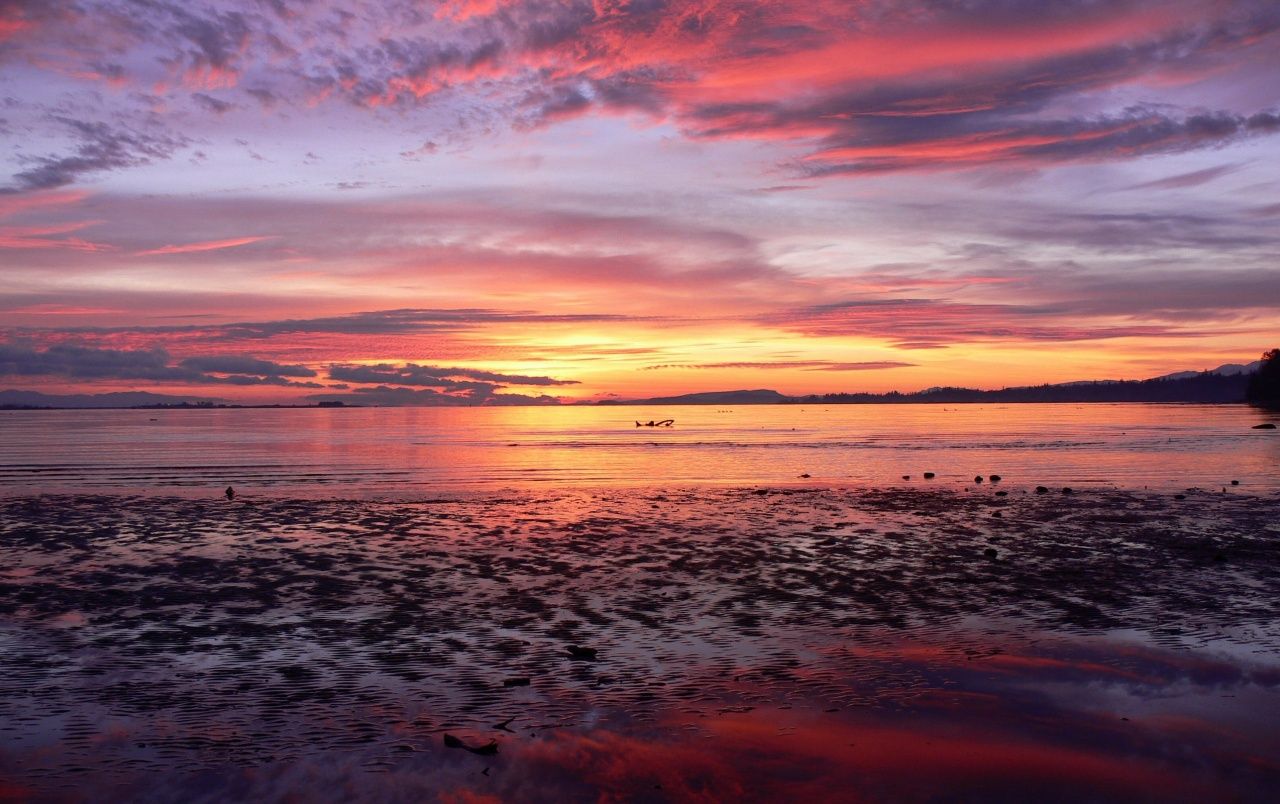 Tramonto rosa su spiaggia, 1280x804 HD, Desktop