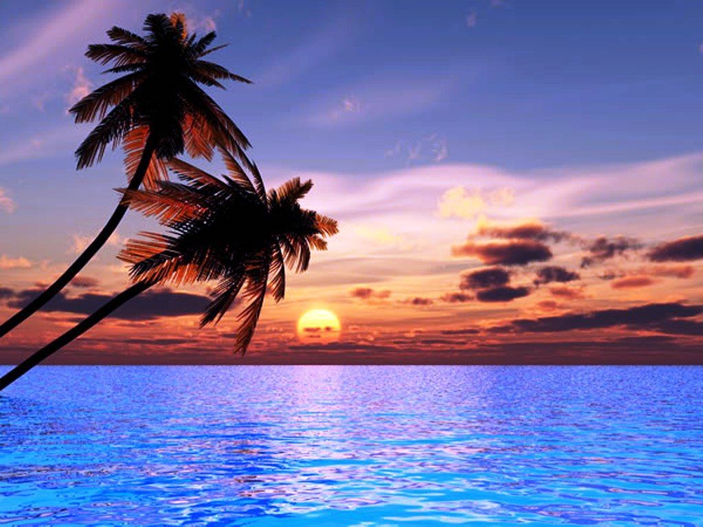Palme silhouette tramonto oceano, 1024x768 HD, PC