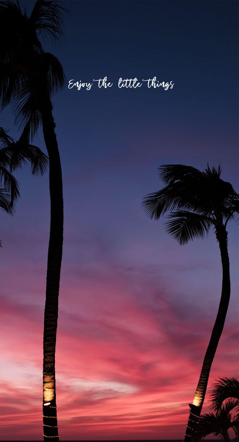 Palme silhouette cielo tramonto, 777x1437 Full HD Verticale, Samsung Galaxy