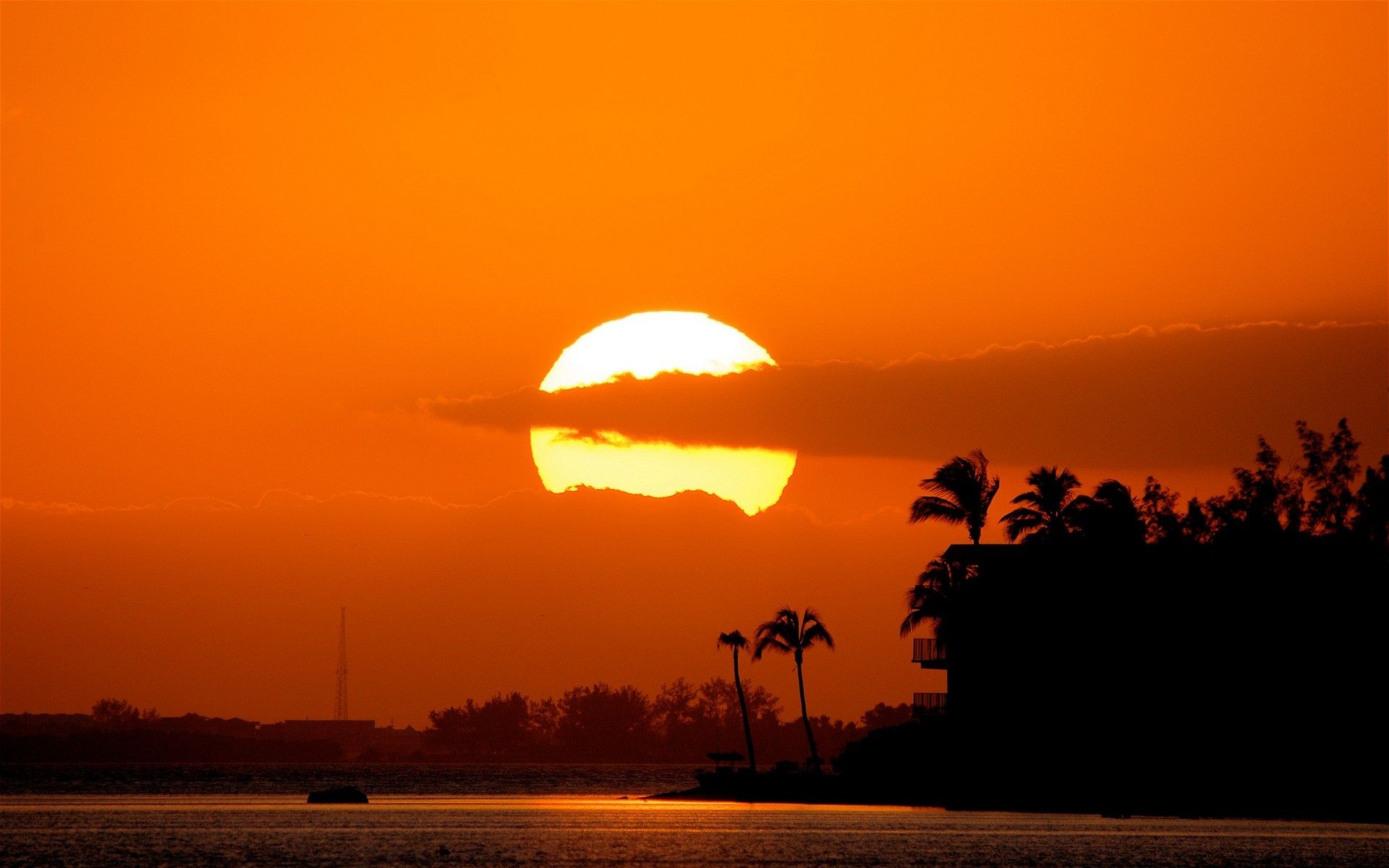 Tramonto arancione con palme, 1920x1200 Full HD+ WUXGA, Desktop