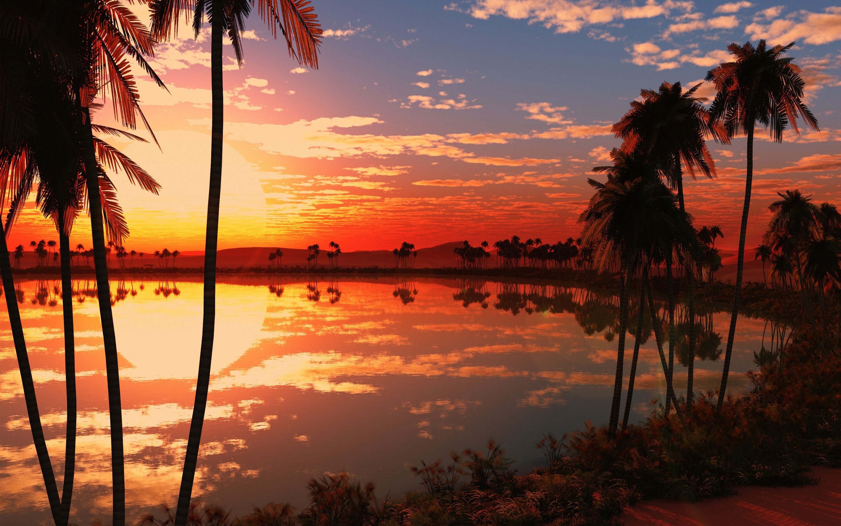 Tramonto con palme e lago, 2880x1800 2K, Laptop