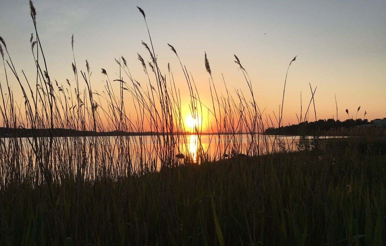 Tramonto su lago con canne, 1332x850 720p, Laptop